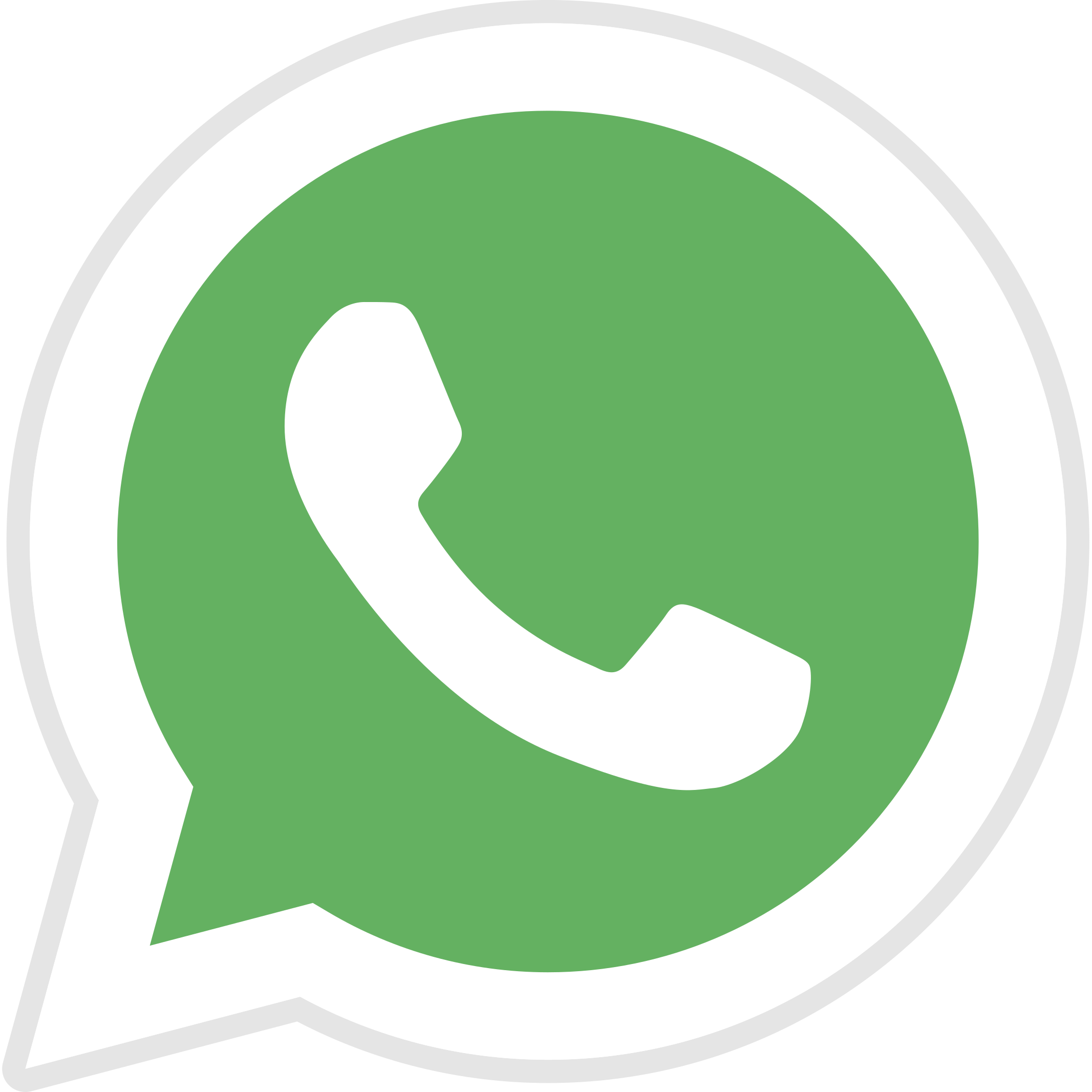 whatsapp-_1_.png